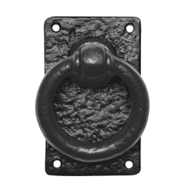 Ring op plaat inclusief krukstift